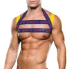 Men's Envy Colorful Logo Harness -Lingerie And Swimwear Store BA BLE317 F 2022SEPT52375