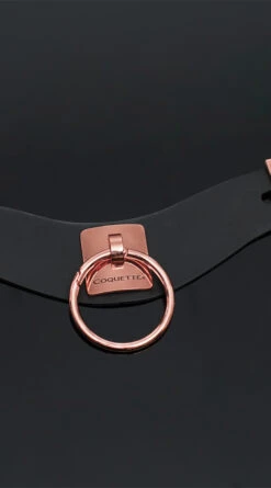 Coquette Rose Gold Submission Collar -Lingerie And Swimwear Store CO 22525 Editorial B 2022DECEMBER53166