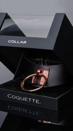 Coquette Rose Gold Submission Collar -Lingerie And Swimwear Store CO 22525 Editorial C 2022DECEMBER53166