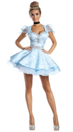 Lost Slipper Princess Costume