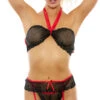Fishnet And Lace Bra And Garter Set -Lingerie And Swimwear Store PO 910 b 2 dn 2022AUGUST48183