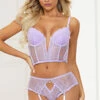 Longline Flirt Gartered Bra Set -Lingerie And Swimwear Store ST 11389 LAVENDER F 2022MAY48381